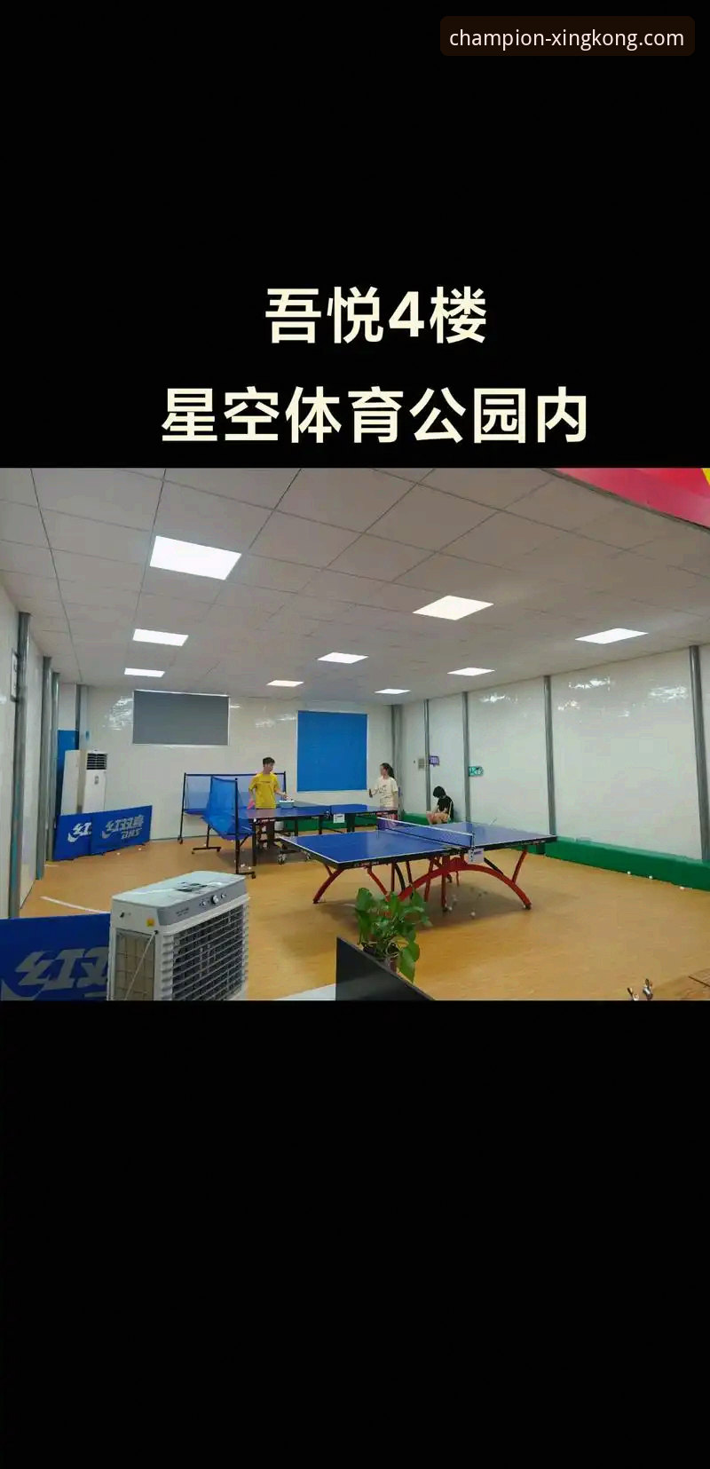 星空体育电脑版哪个好？星空体育官网v3.5.2全面评测与方案对比